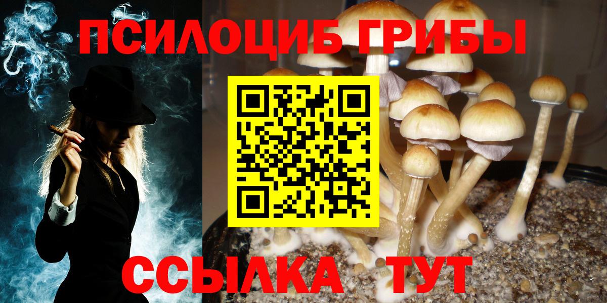 Псилоцибиновые грибы Magic Shrooms  Псилоцибиновые грибы прущие грибы  Уварово  Вход с VPN 